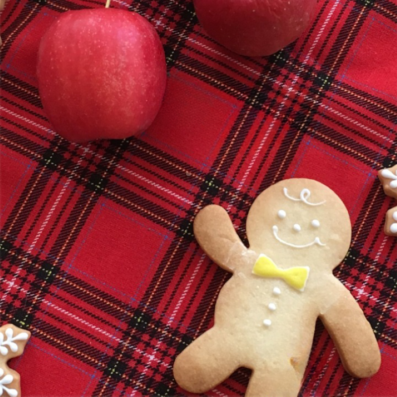 Christmas Biscuit Mold