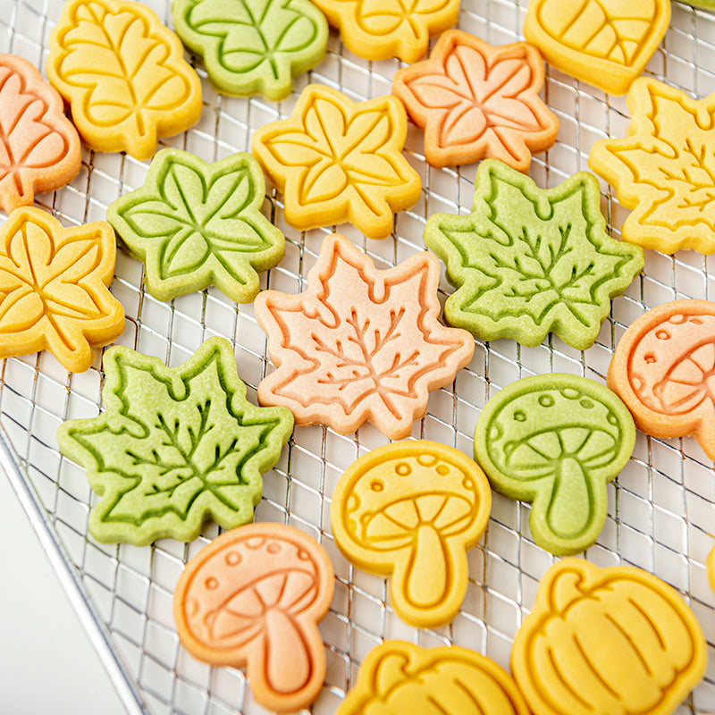 Autumn Series Biscuit Mold